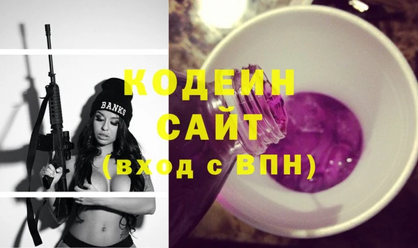 apvp Няндома
